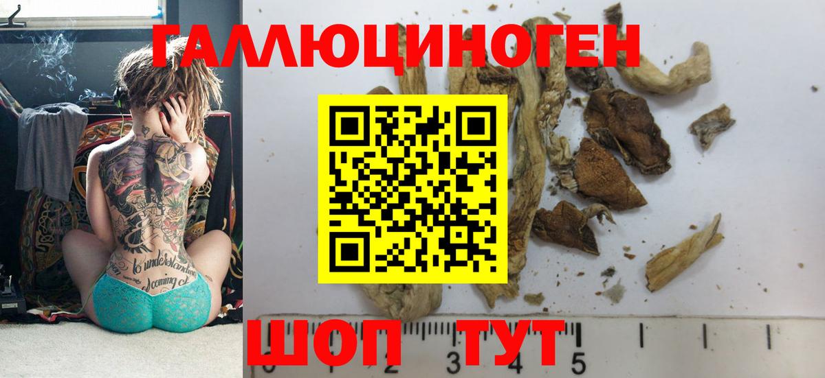 Псилоцибиновые грибы Cubensis Воткинск