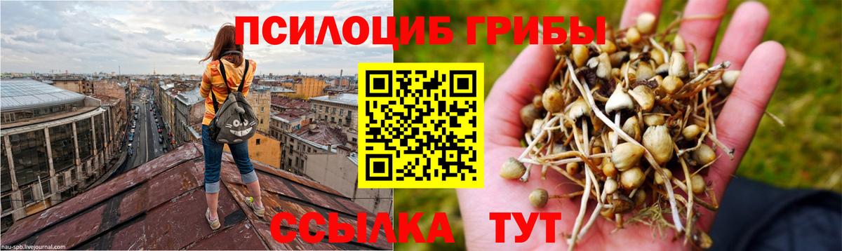 Воткинск  Галлюциногенные грибы MAGIC MUSHROOMS  Вход с VPN  Галлюциногенные грибы MAGIC MUSHROOMS 